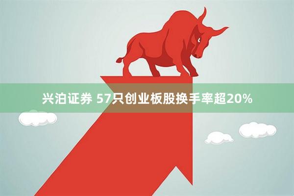 兴泊证券 57只创业板股换手率超20%