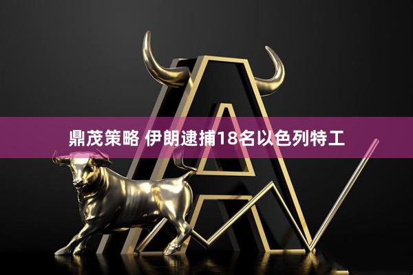 鼎茂策略 伊朗逮捕18名以色列特工