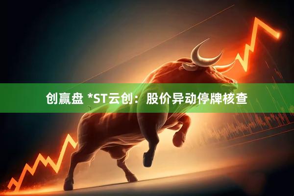 创赢盘 *ST云创：股价异动停牌核查