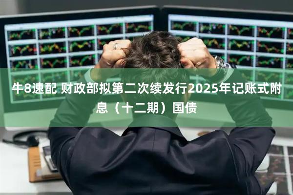 牛8速配 财政部拟第二次续发行2025年记账式附息（十二期）国债