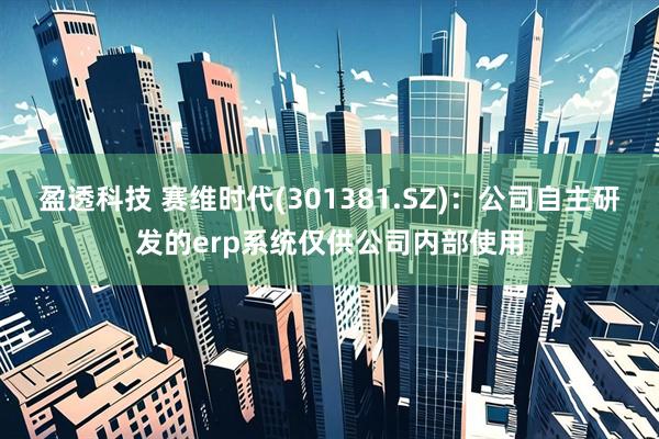 盈透科技 赛维时代(301381.SZ)：公司自主研发的erp系统仅供公司内部使用