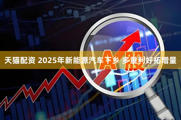 天猫配资 2025年新能源汽车下乡 多重利好拓增量